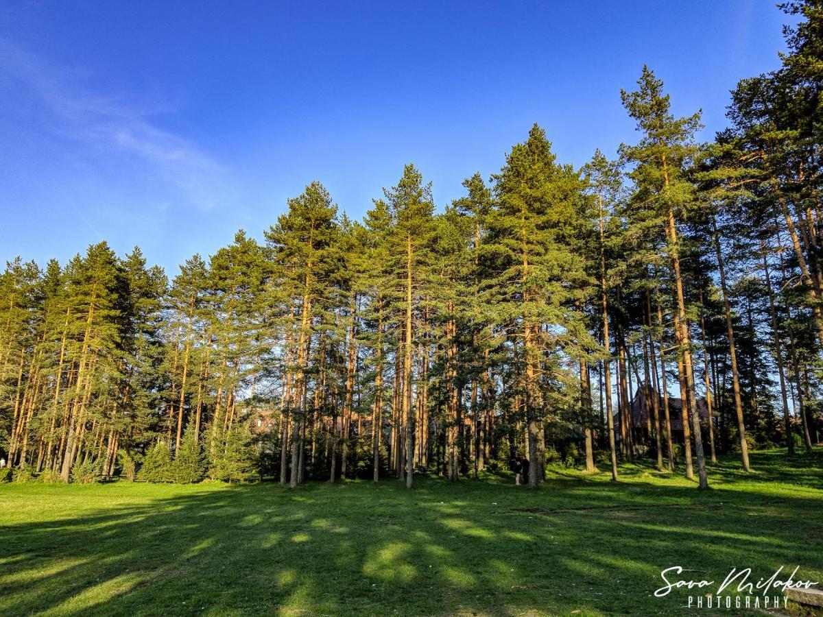 Apartman 65 Zlatibor Exterior photo